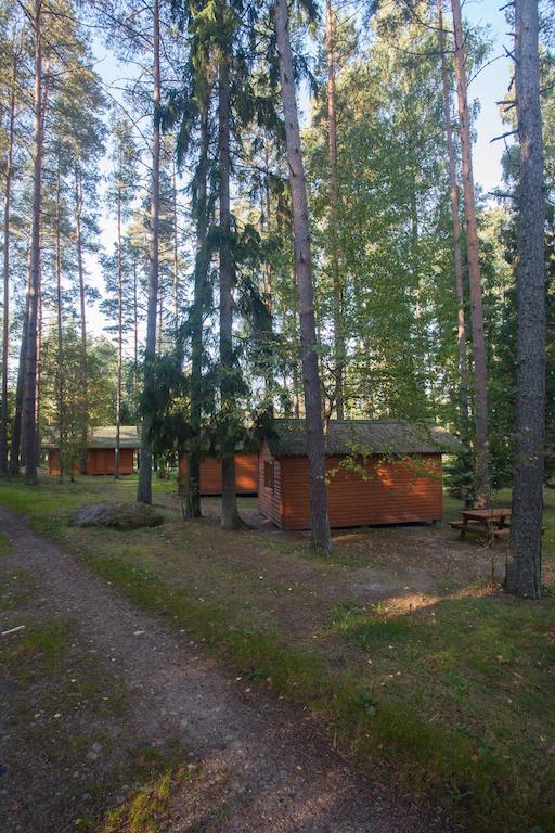 Atputas Komplekss Godeli Usma Rum bild